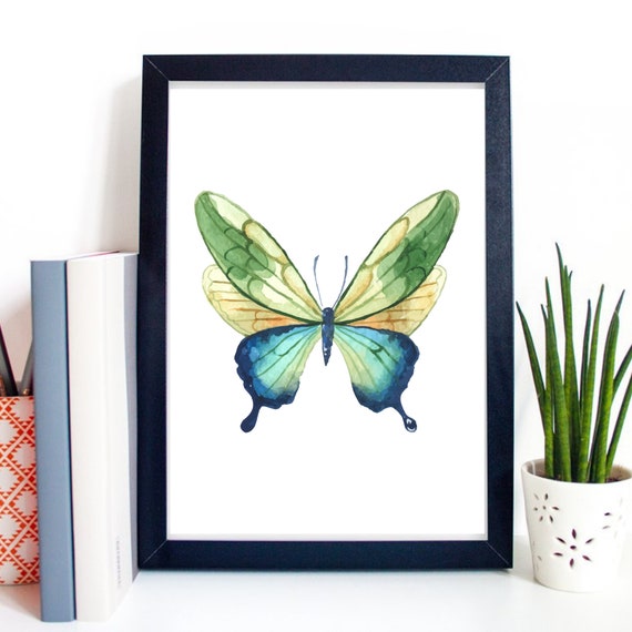 Din A4 Art Print Without Frame Green Butterfly Butterfly Nature Watercolor Print Poster Image
