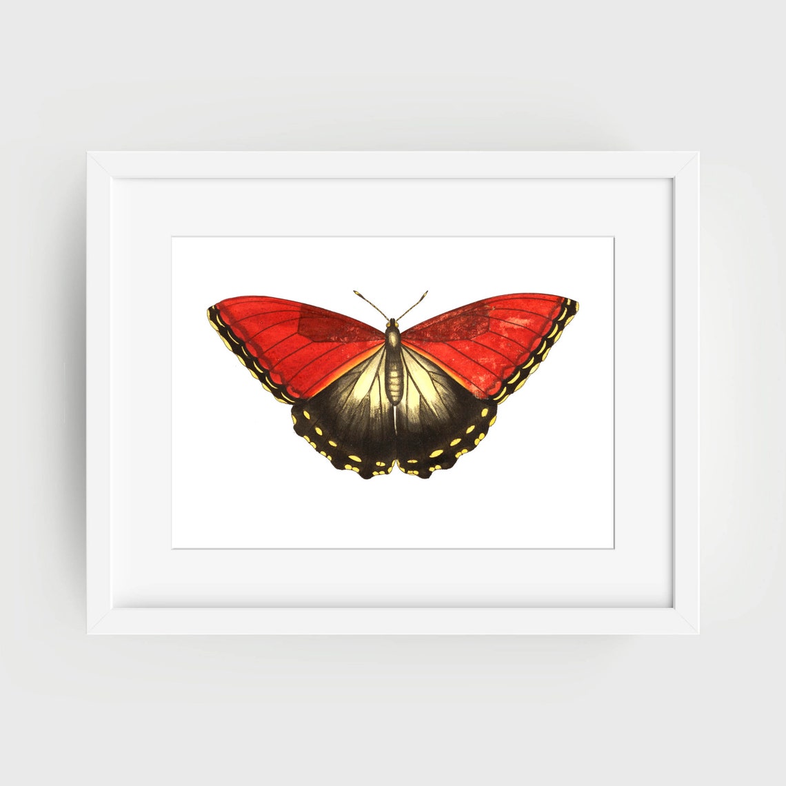 Red and Black Butterfly with Yellow Spots Vintage Insect Art Poster - Image 2