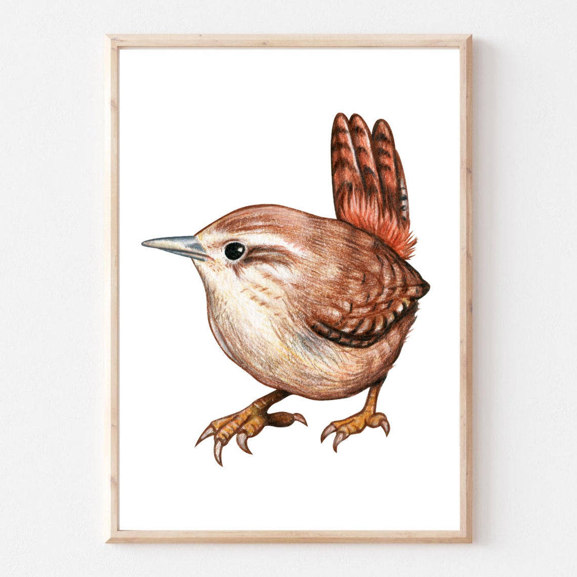 Cute Wren Bird Watercolor Illustration Rustic Wildlife Wall Art - Image 3