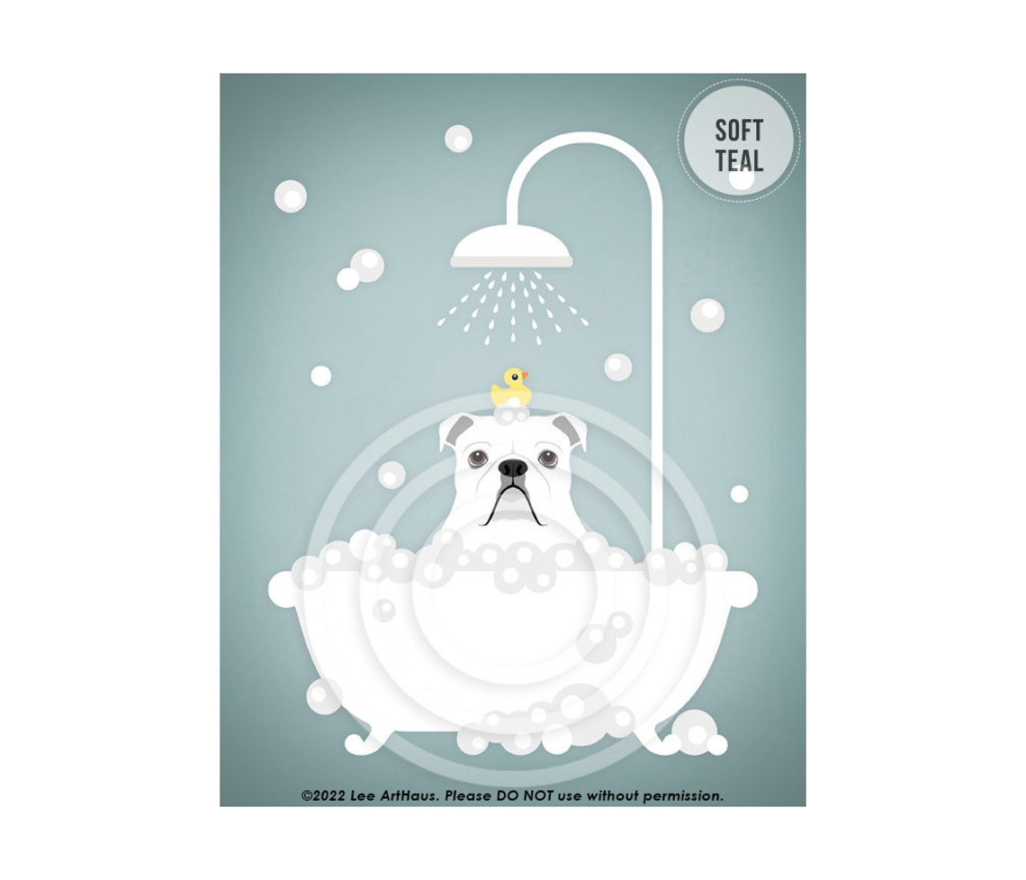 White English Bulldog Taking Bubble Bath With Rubber Duck Poster - Image 4