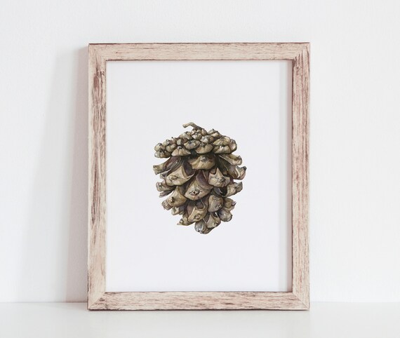 Watercolor Pine Cone Botanical Rustic Winter Christmas Poster