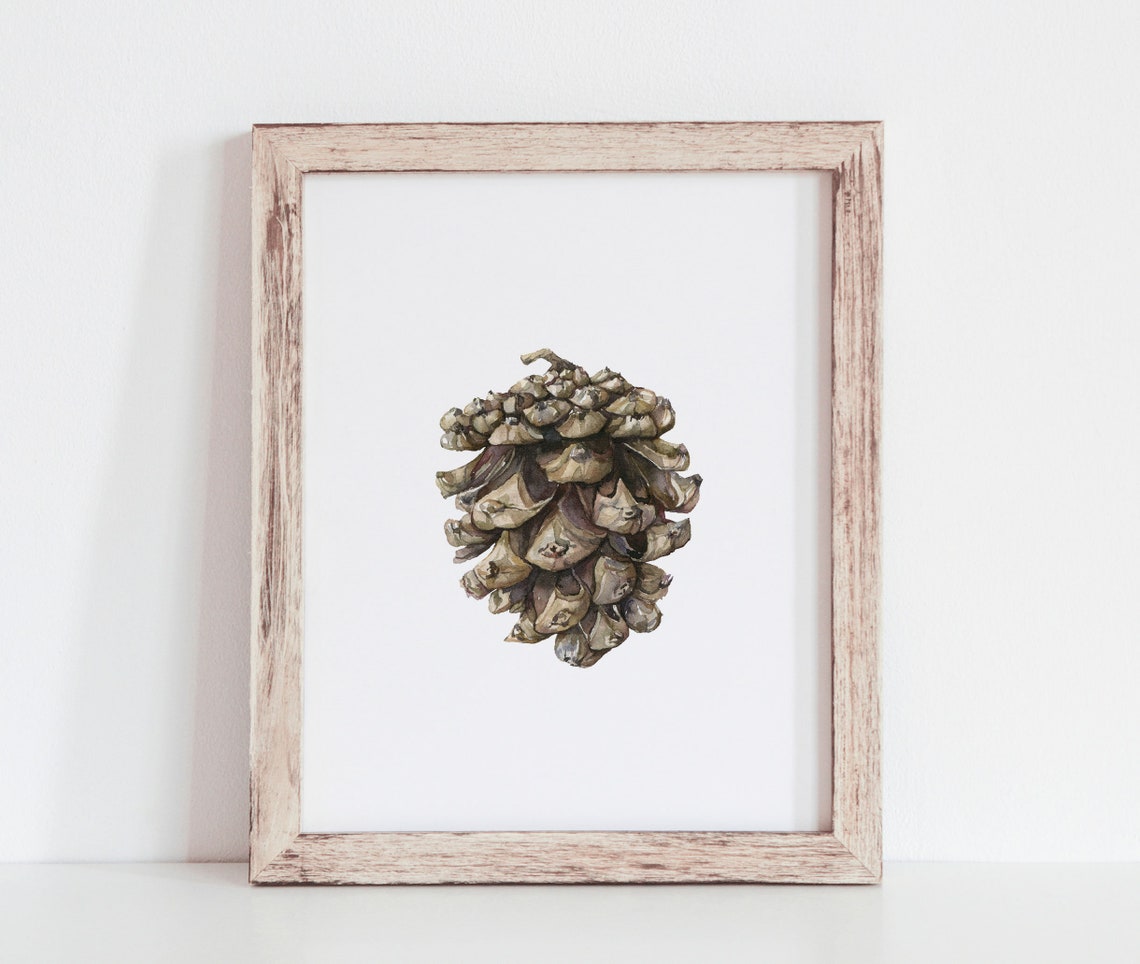 Watercolor Pine Cone Botanical Rustic Winter Christmas Poster