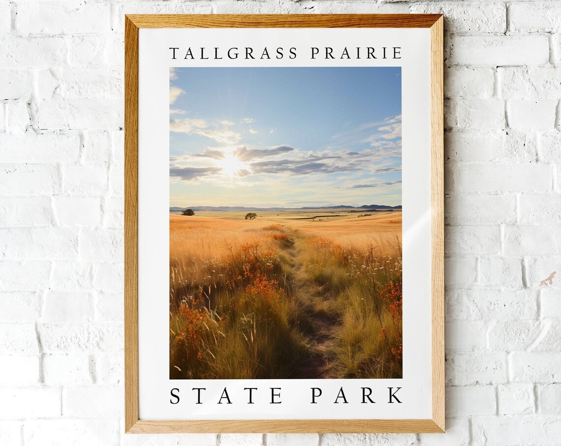 Tallgrass Prairie State Park Golden Sunset Grassland Photo Poster