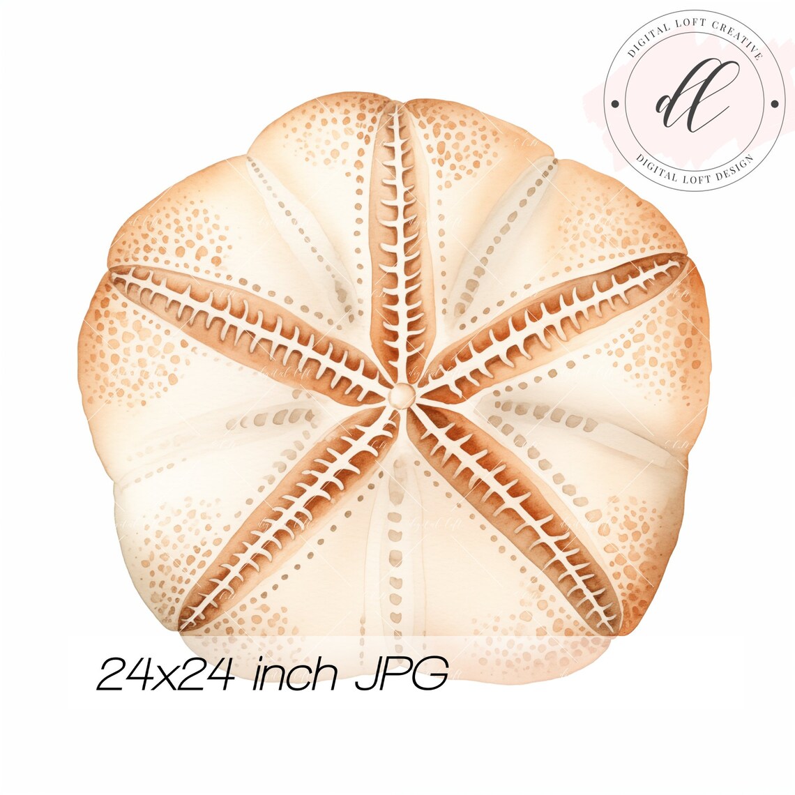 Watercolor Sand Dollar Shell Close Up Beach Decor Poster Art