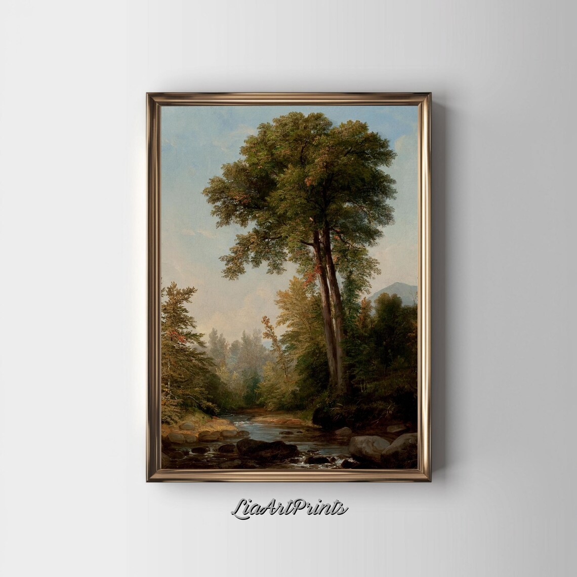 Majestic Tall Forest Trees beside a Rocky Woodland Stream Poster - Image 2