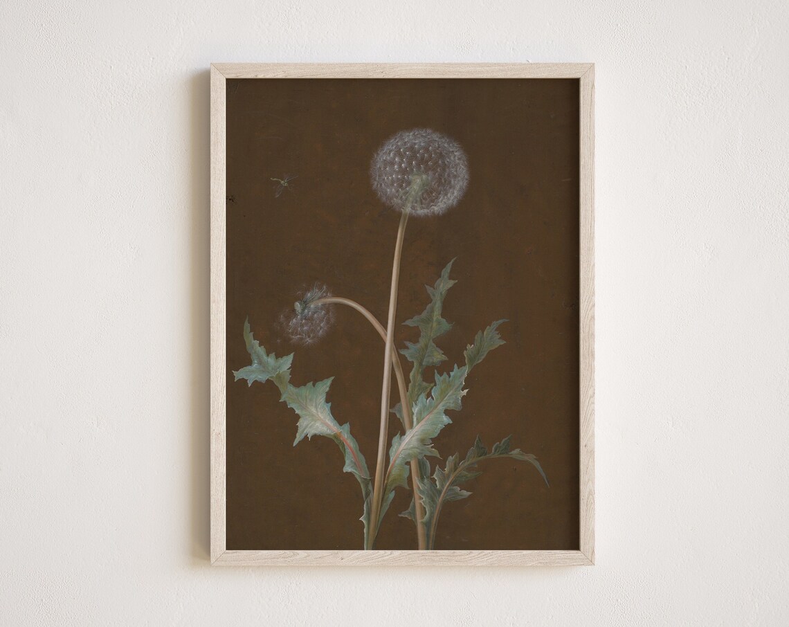 Vintage Dandelion Flower Botanical Art Print