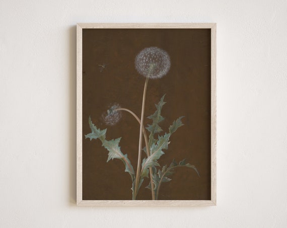 Vintage Dandelion Flower Botanical Art Print
