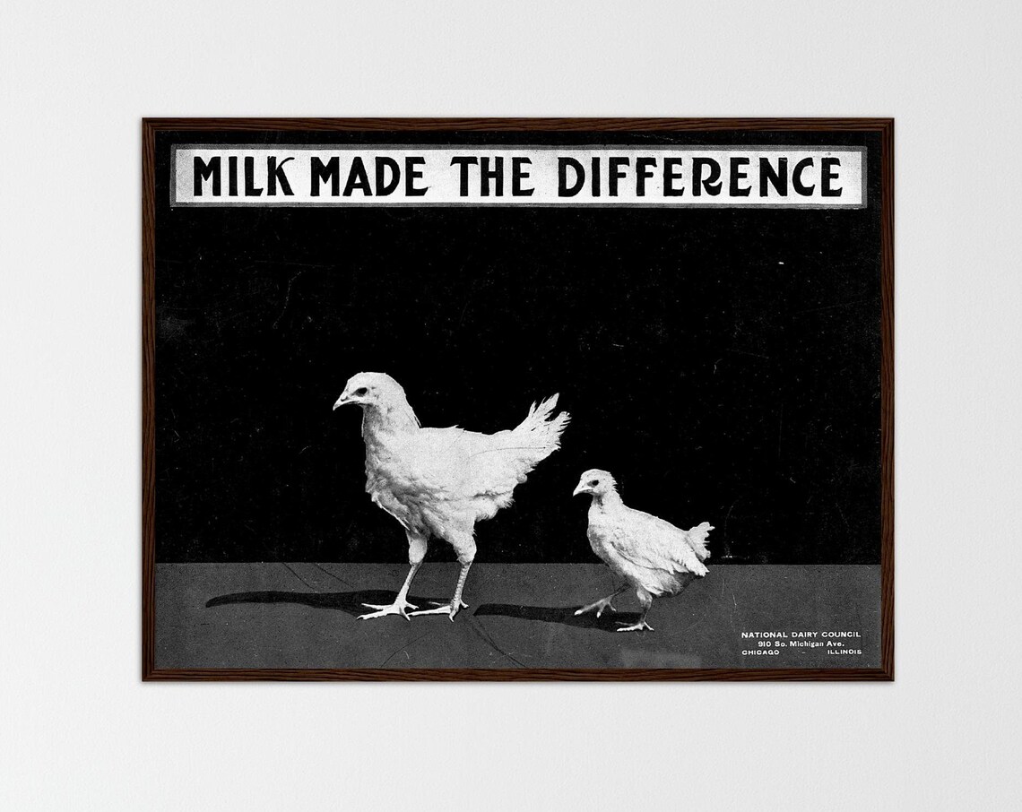 Old Milk Advertisement, Retro Kitchen Decor