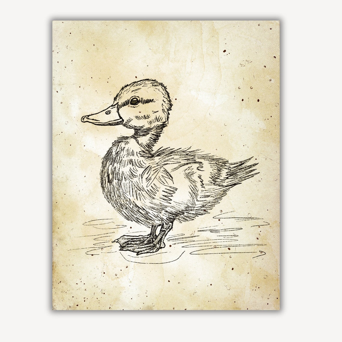 Vintage Duck Portrait Sketch Rustic Farmhouse Nursery Decor Poster - Image 3
