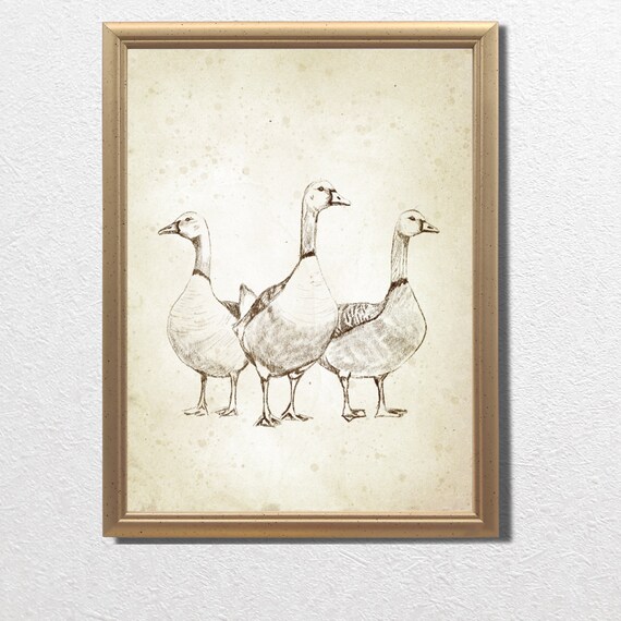 Three Geese Walking Vintage Pencil Sketch Farmhouse Bird Art Print