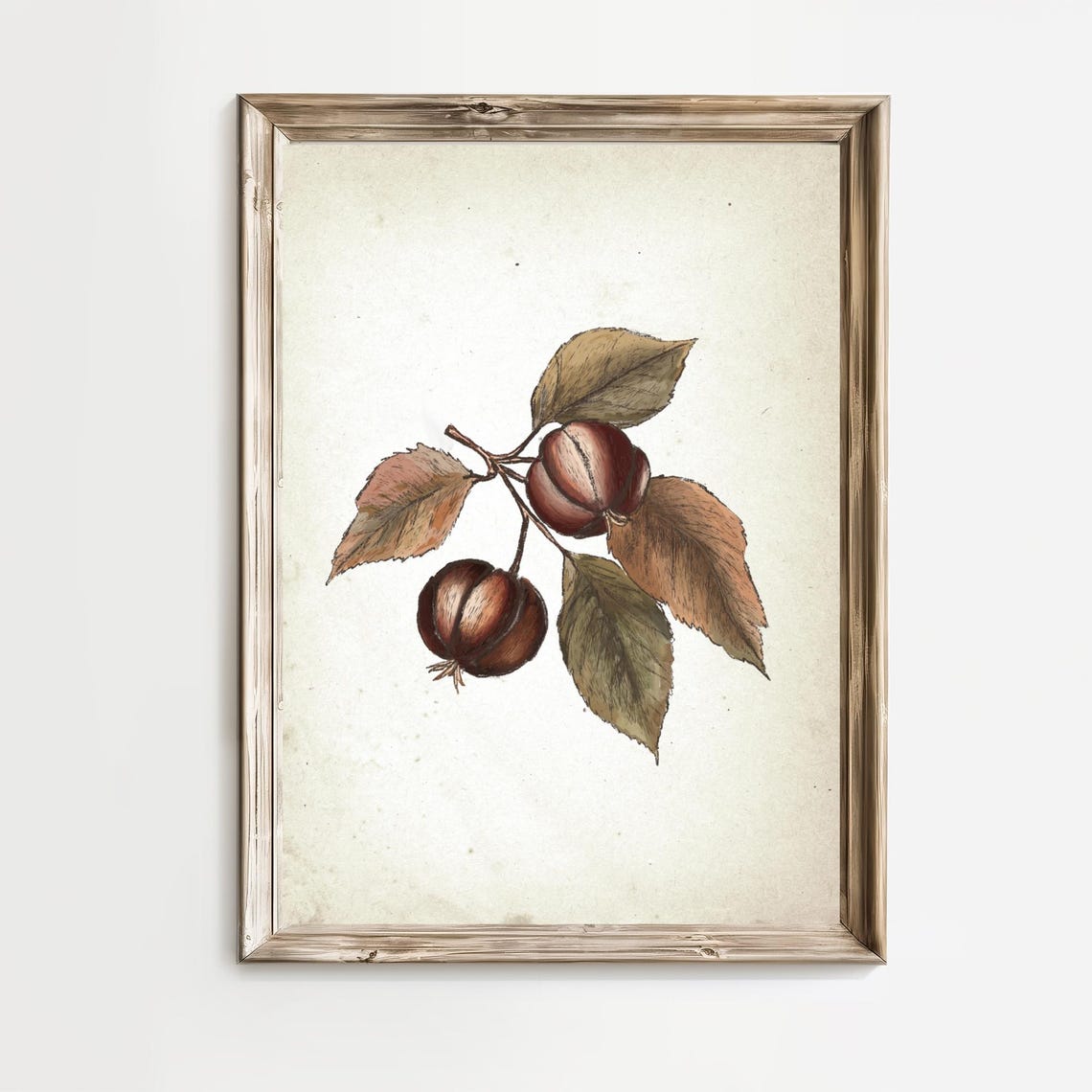 Vintage Chestnut Tree Branch Botanical Sketch Autumn Fall Wall Art