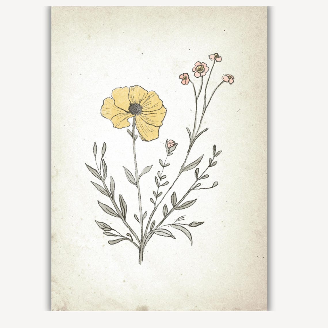 Yellow Poppy and Pink Blossoms in Vintage Botanical Art Print - Image 2