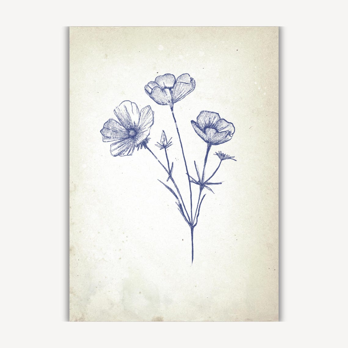 Blue Grey Wildflower Bloom Delicate Botanical Sketch Wall Art - Image 4