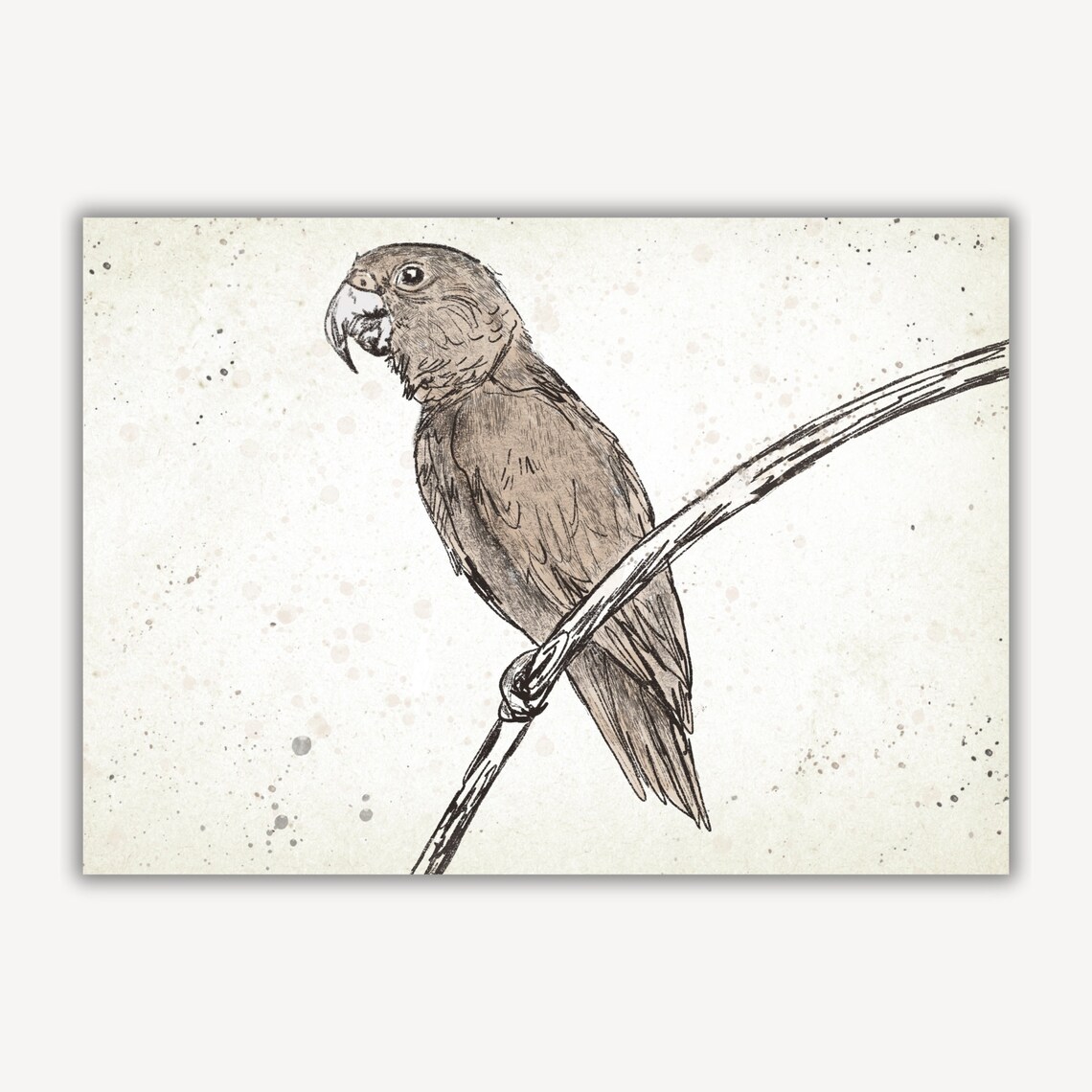 Parrot Perched On Branch Sketch Safari Bird Vintage Art Poster - Image 2