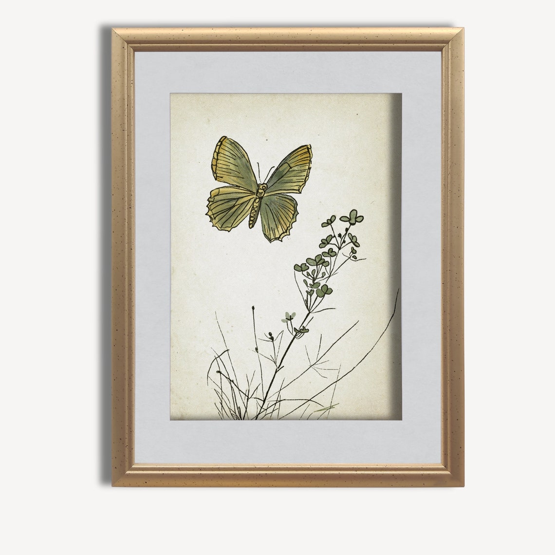 Green Butterfly with Blossom Antique Botanical Sketch Nursery Poster - Image 3