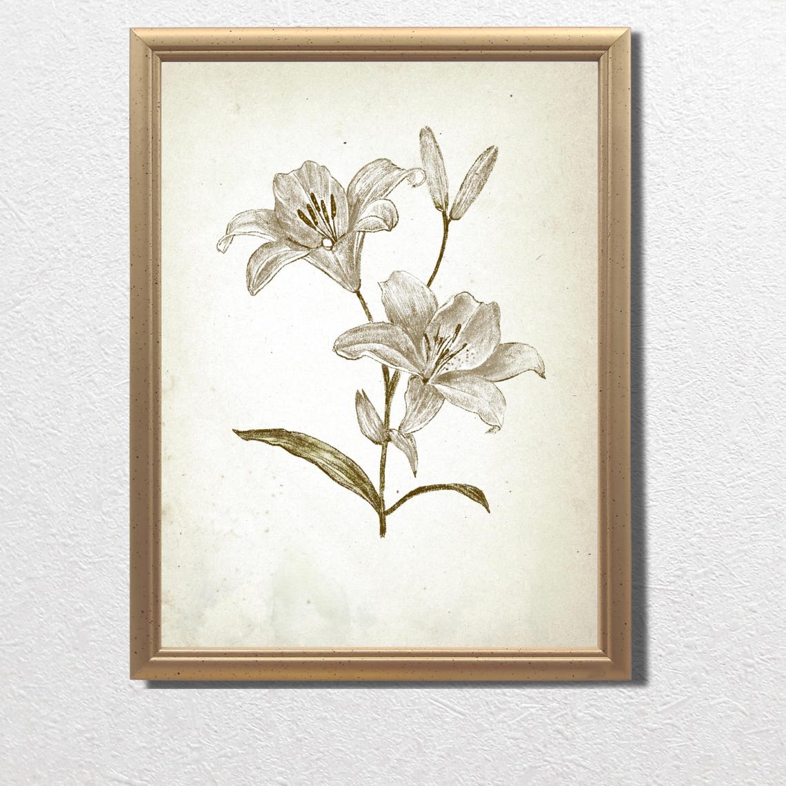 White Lily Flower Delicate Botanical Line Drawing On Wall Art - Image 2