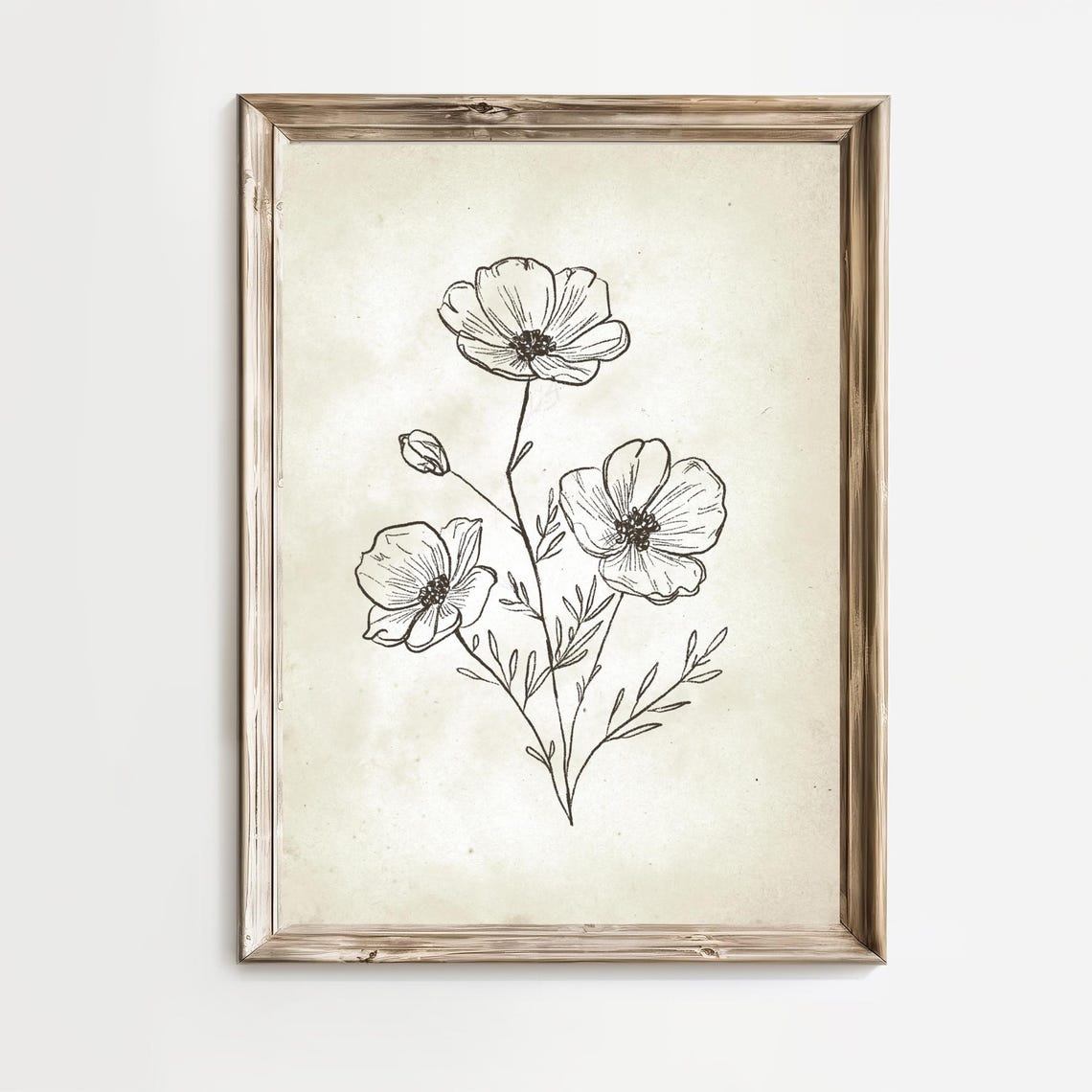 Wildflower Botanical Line Drawing Minimalist Ink Sketch Art Poster