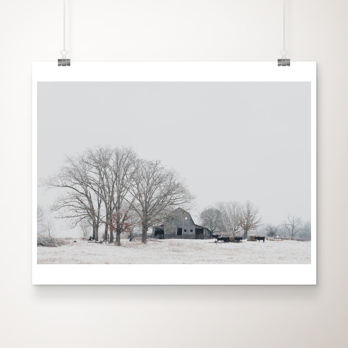 Snowy Winter Farm Barn With Cows Rural Cold Morning Landscape Poster