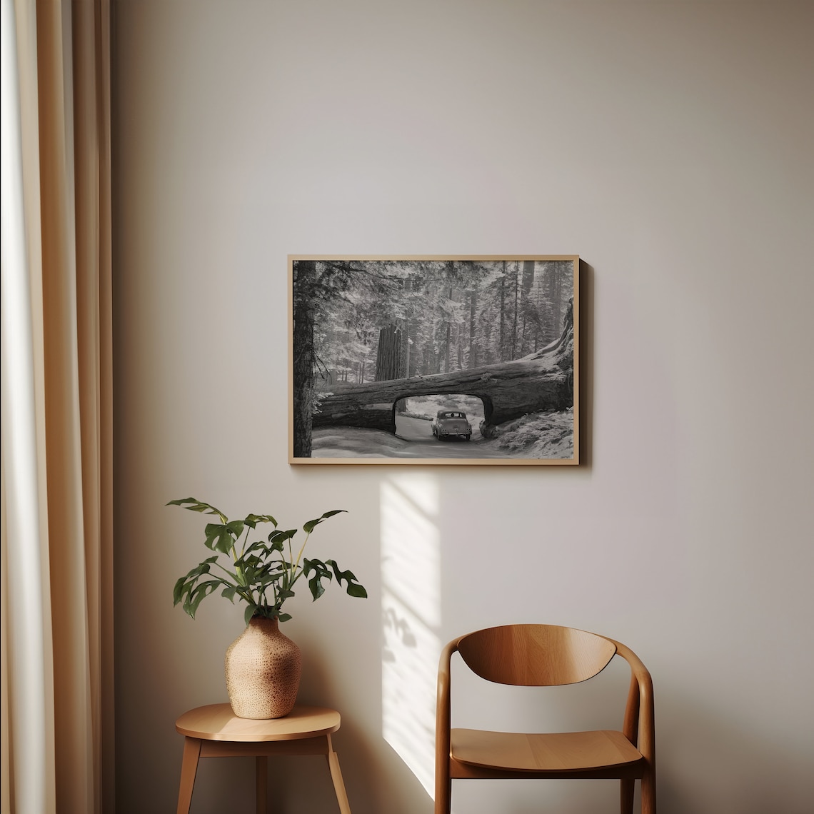 Vintage Car Driving Through Fallen Sequoia Log Tunnel Black White Poster - Image 2