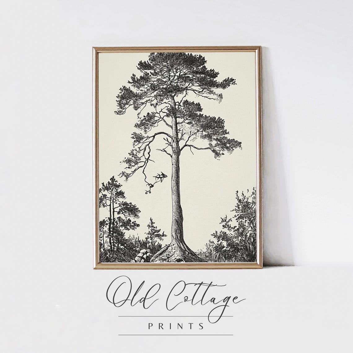 Black And White Pine Tree Illustration Detailed Tall Tree Art Rustic Nature Decor Minimalist Black And White Sketch Art