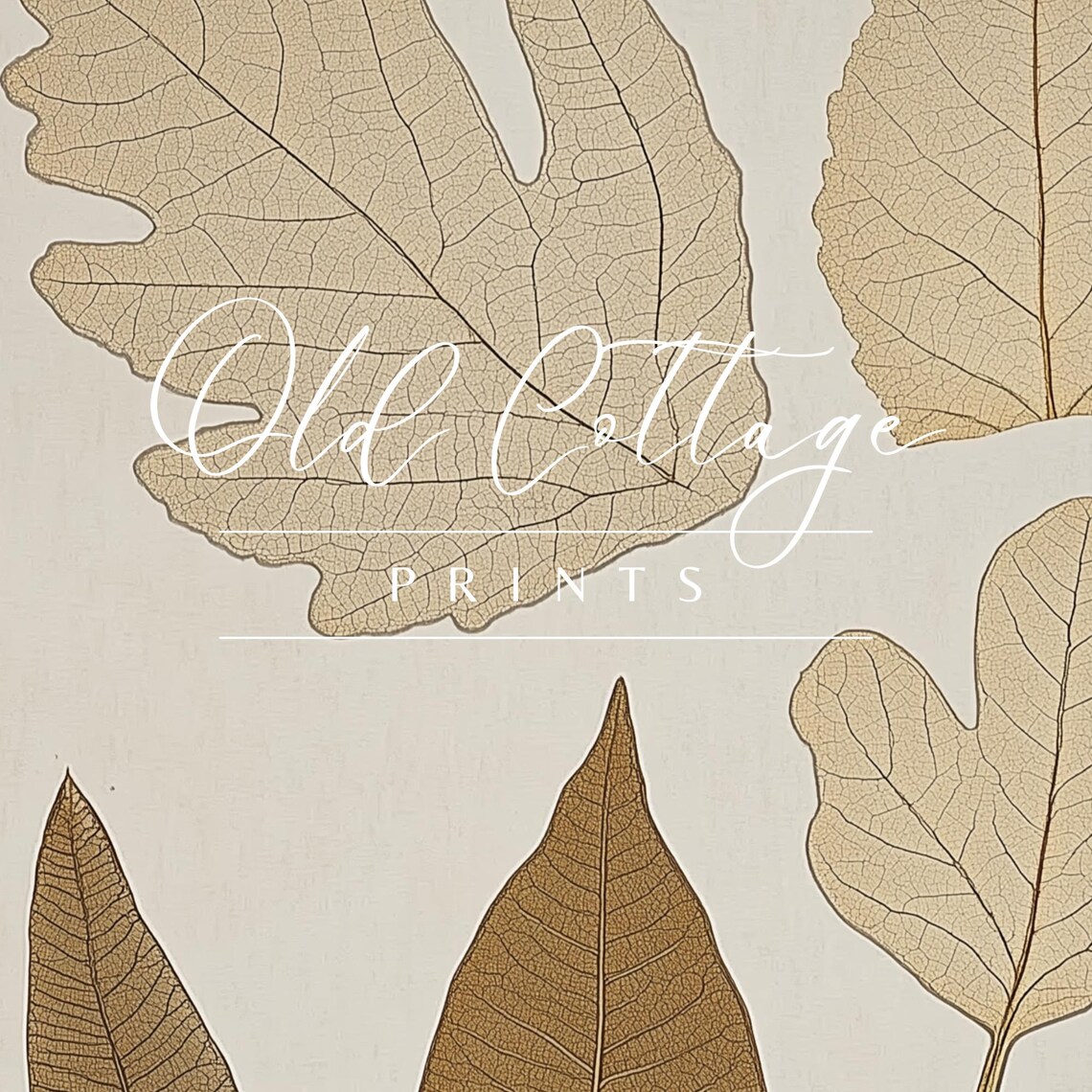Autumn Array Botanical Leaf Art, Fall Decor - Image 2