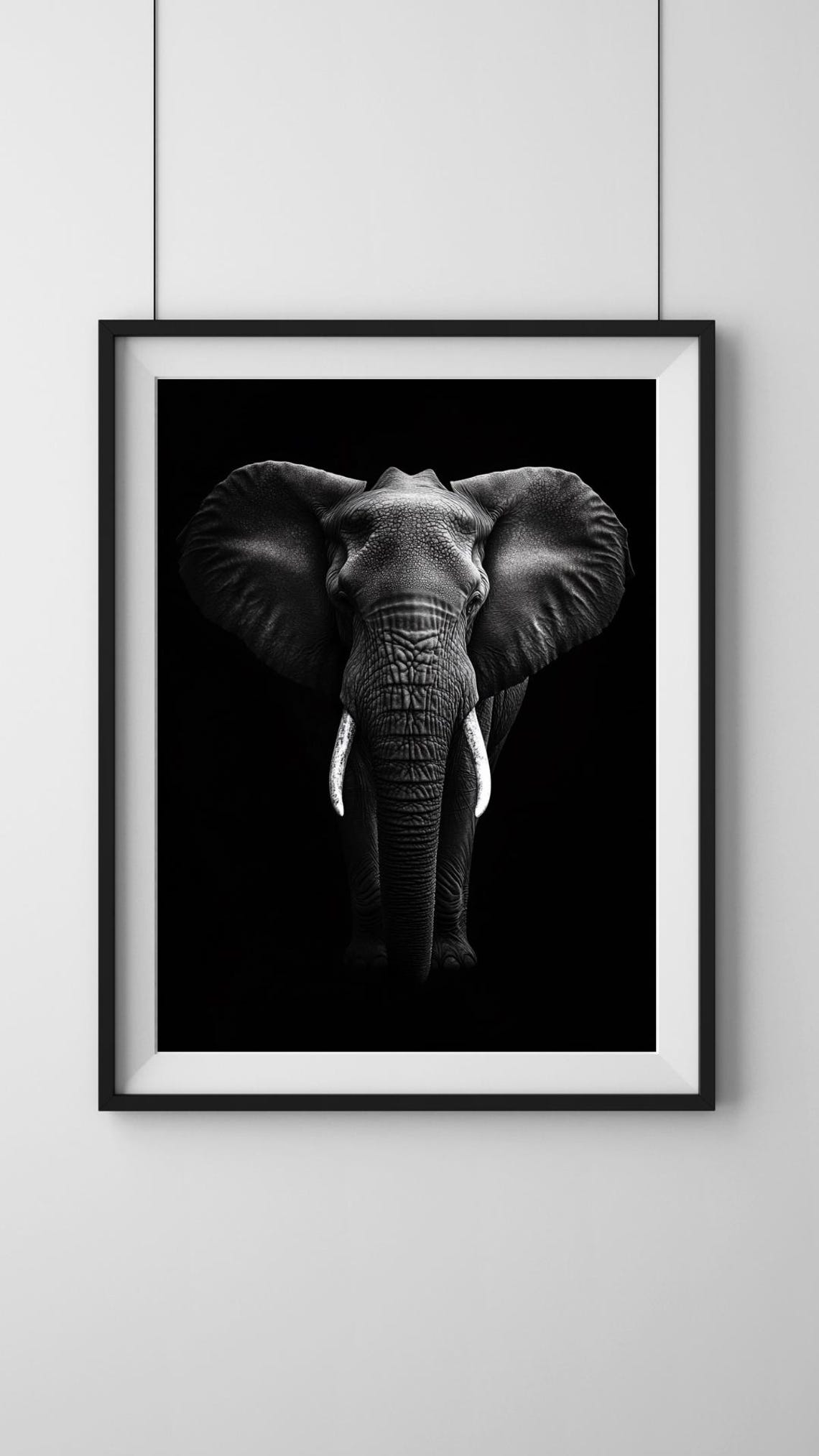 Black and White Elephant Portrait Dramatic Dark Background Poster