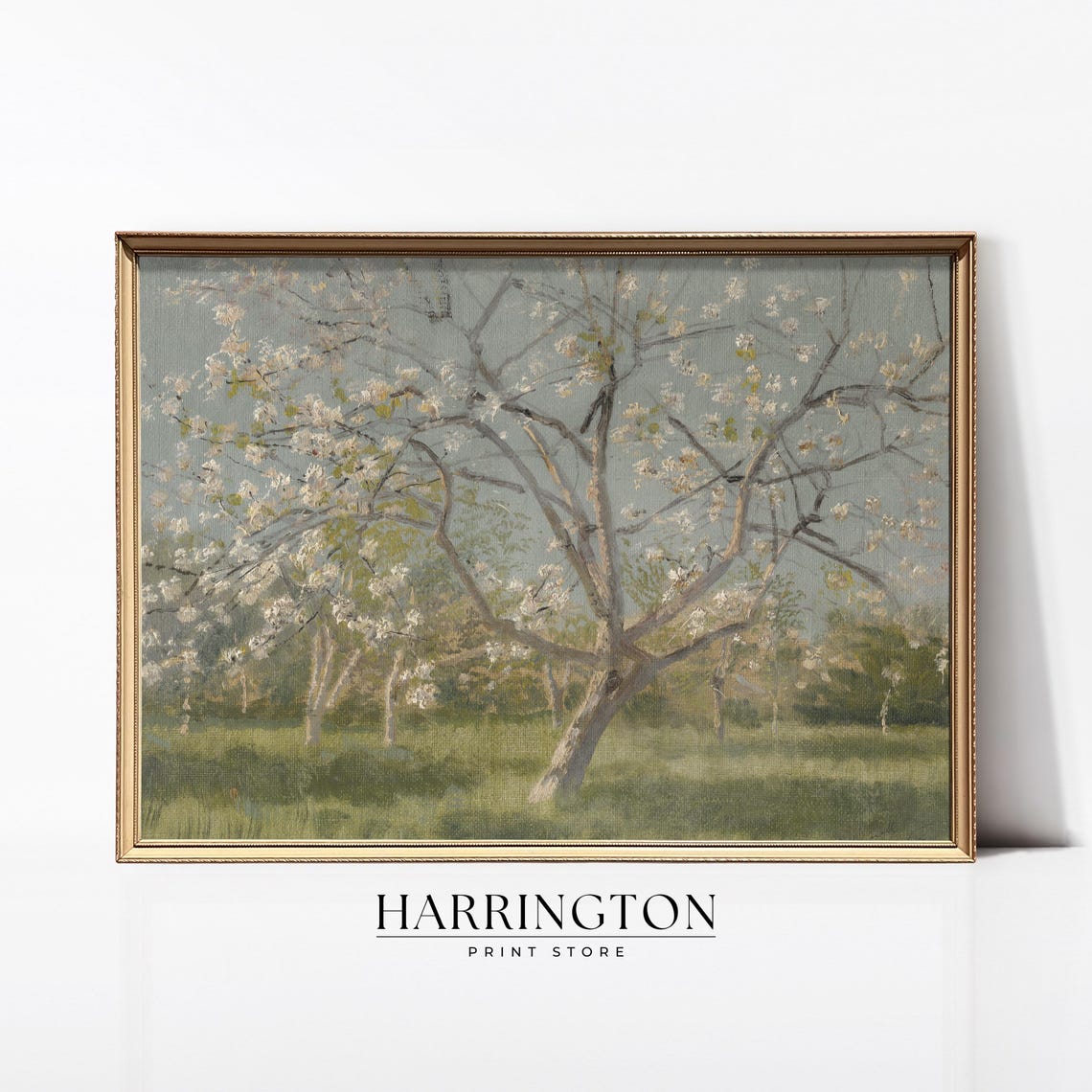 White Blossom Orchard Tree Spring Countryside Vintage Art Poster