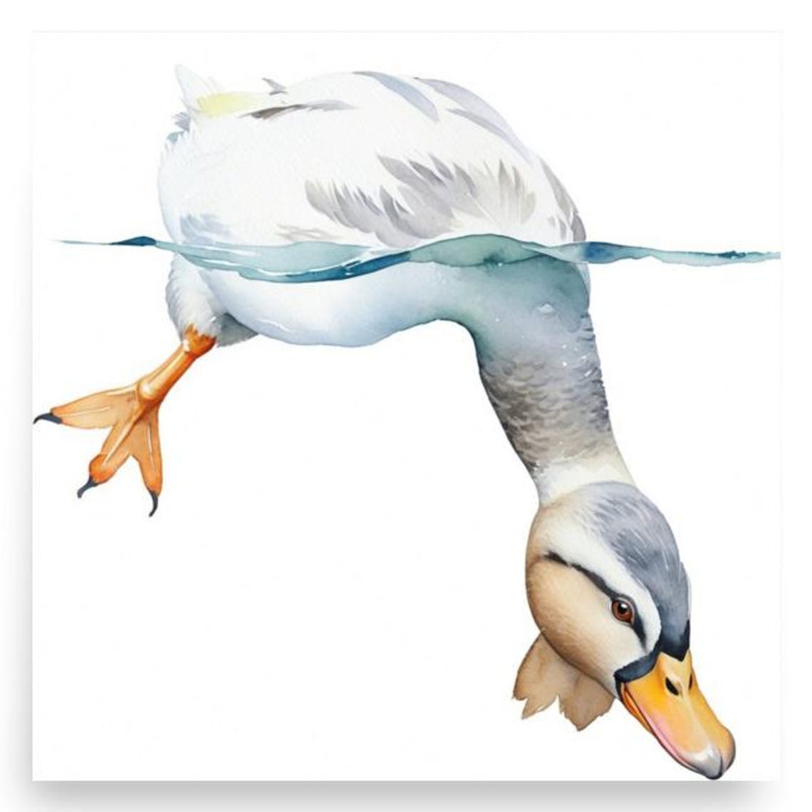 Funny Diving Duck Head Down Watercolor Farm Bird Humor Poster