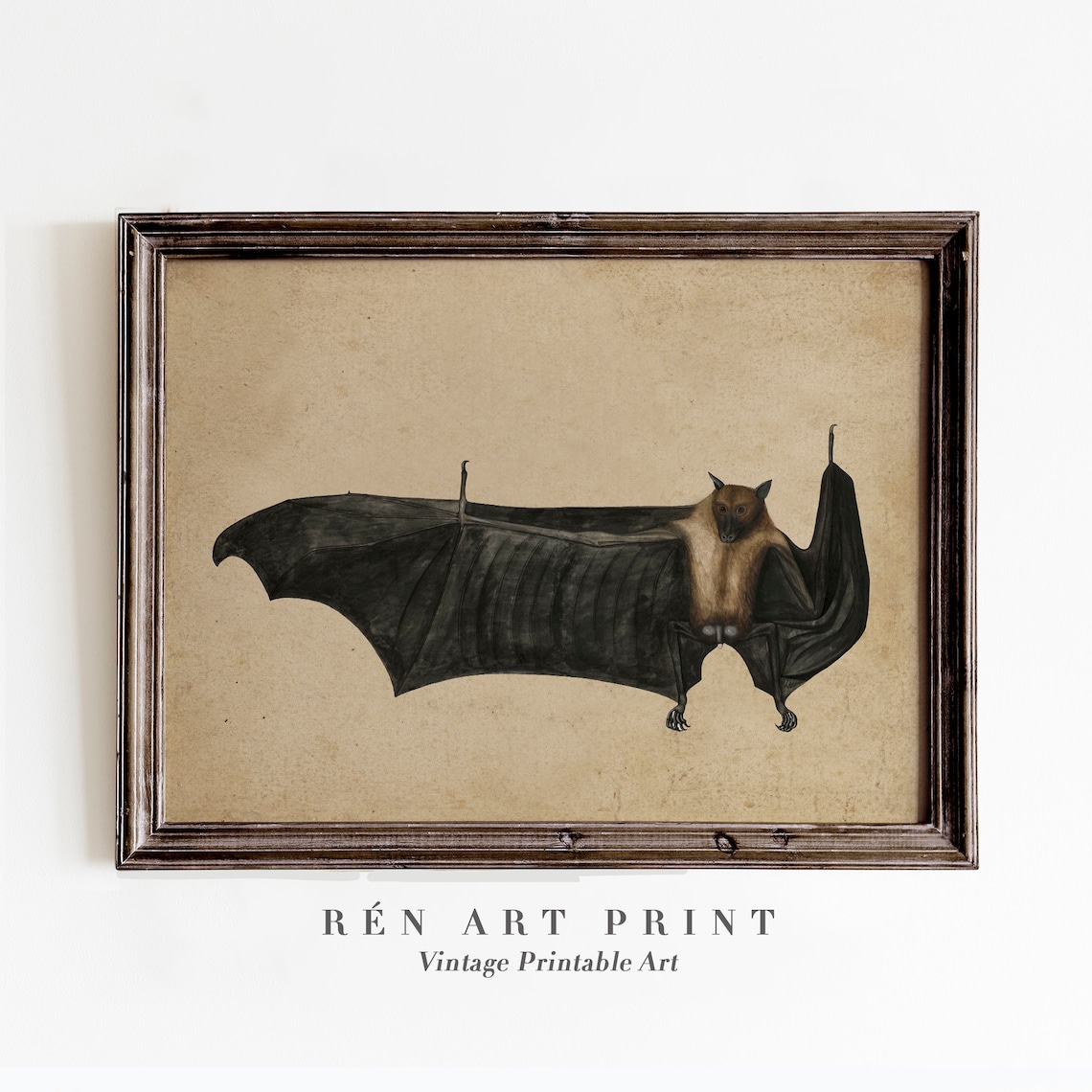 Antique Bat Painting Vintage Gothic Art Print