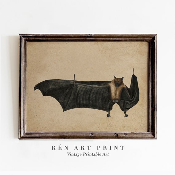 Antique Bat Painting Vintage Gothic Art Print