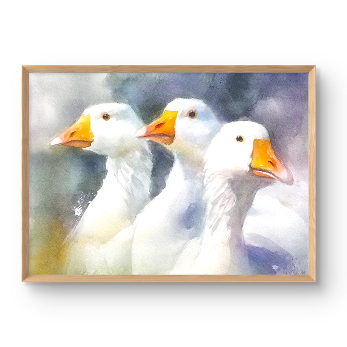 Three White Geese Watercolor Rustic Farmhouse Animal Scene Poster