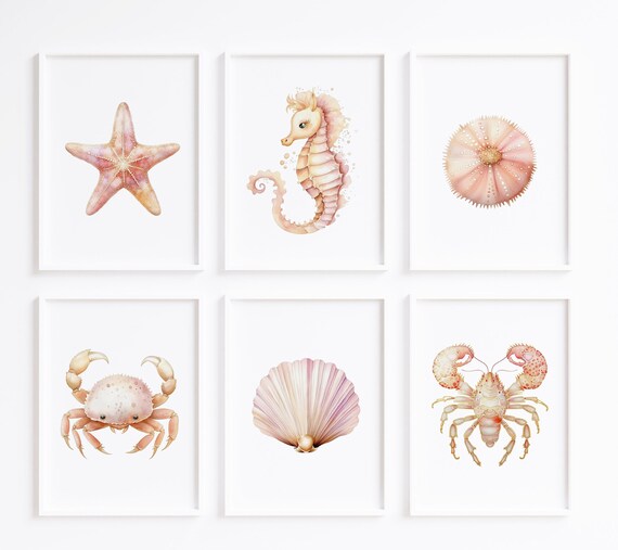 Set Of 6 Blush Pink Sea Creature Watercolor Ocean Prints Poster