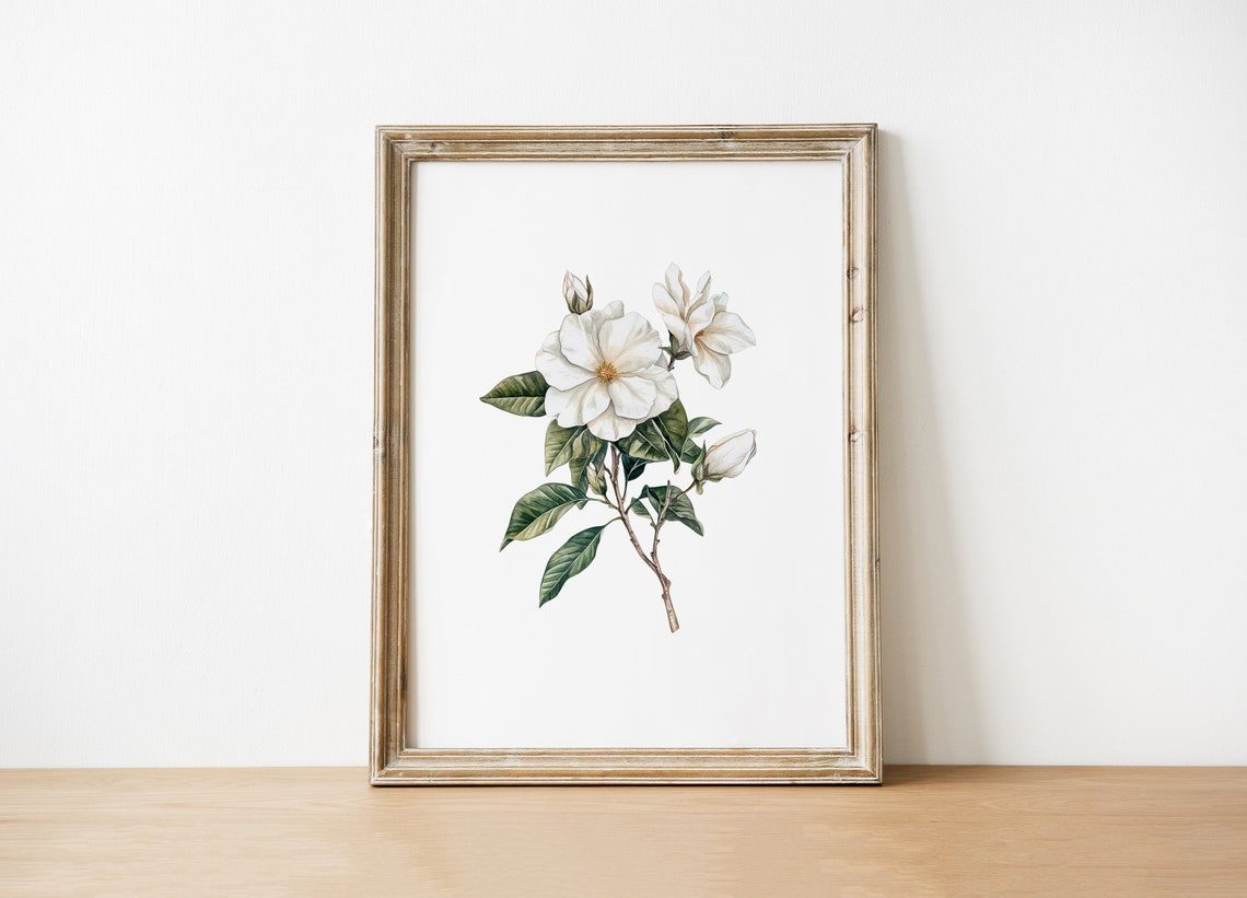 Floral Botanical Wall Art Print White Flower Illustration Home Decor Garden Nature
