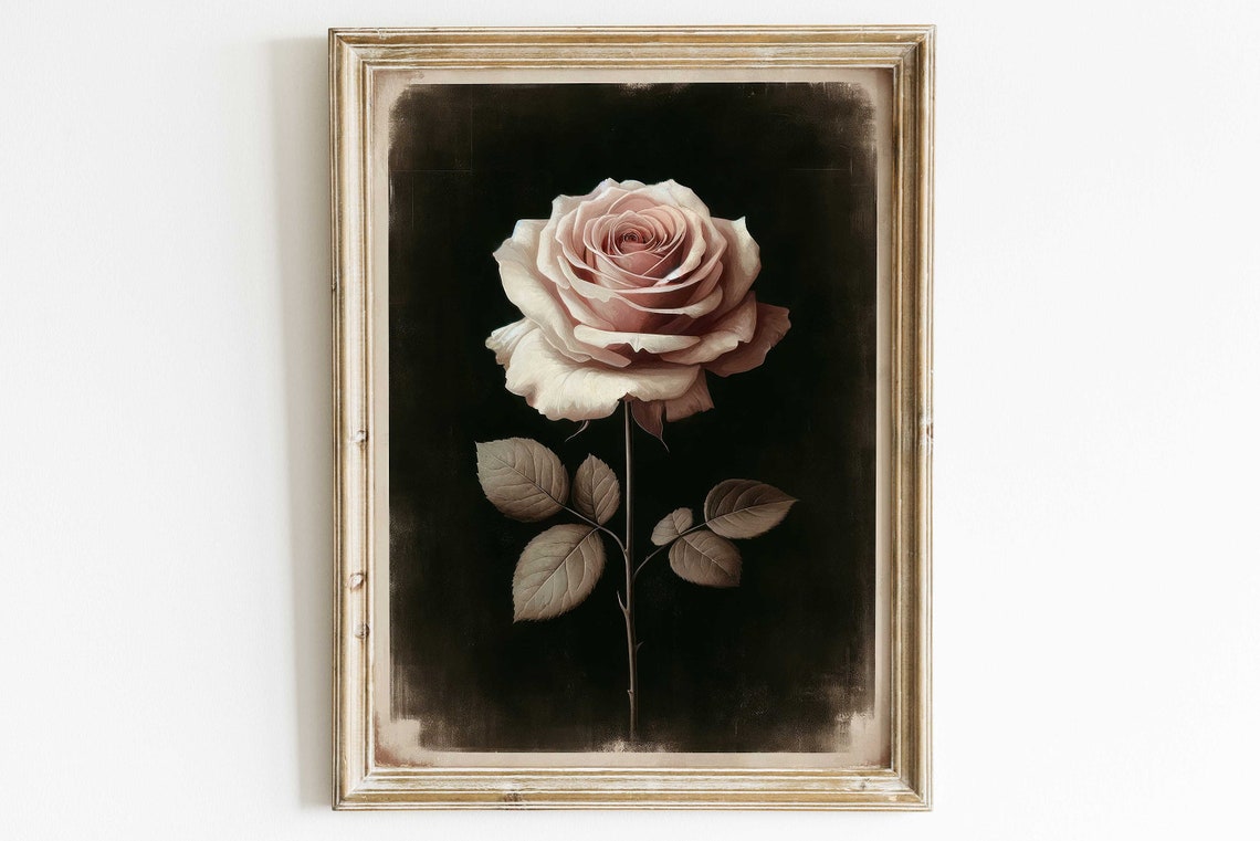 Blush Pink Rose Bloom on Black Dramatic Floral Wall Art for Bedroom