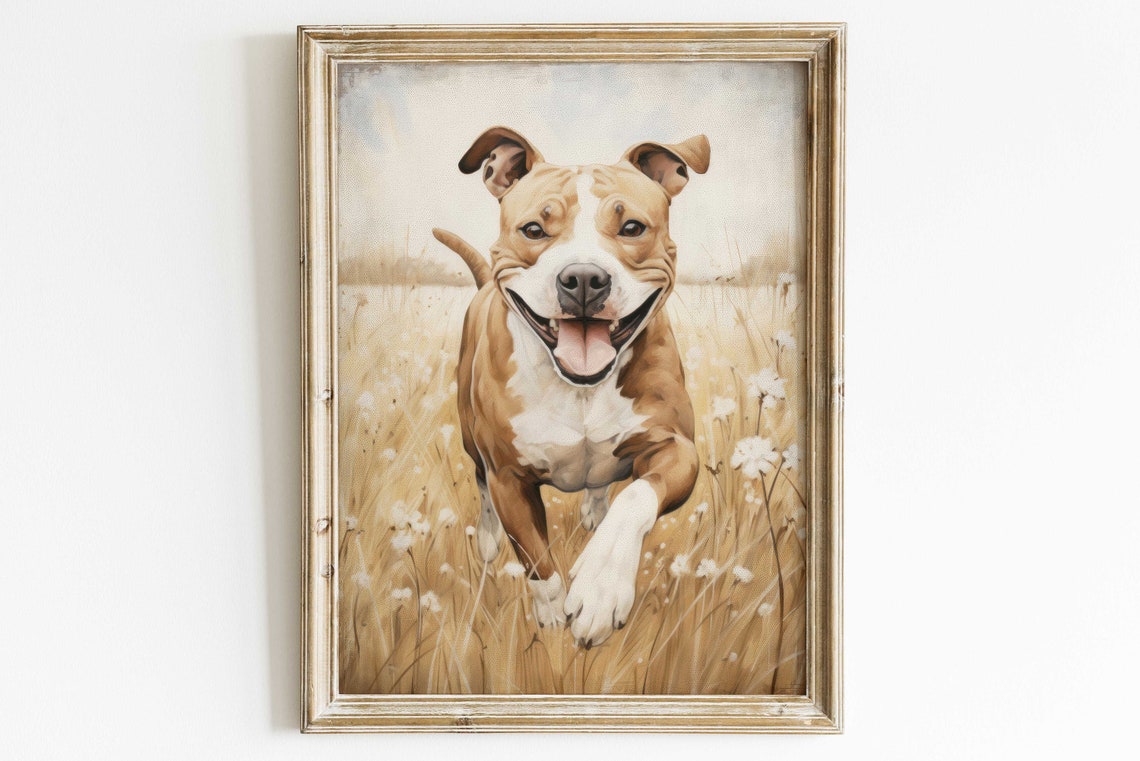 Happy Staffordshire Bull Terrier Running Through Golden Field Poster - Image 2