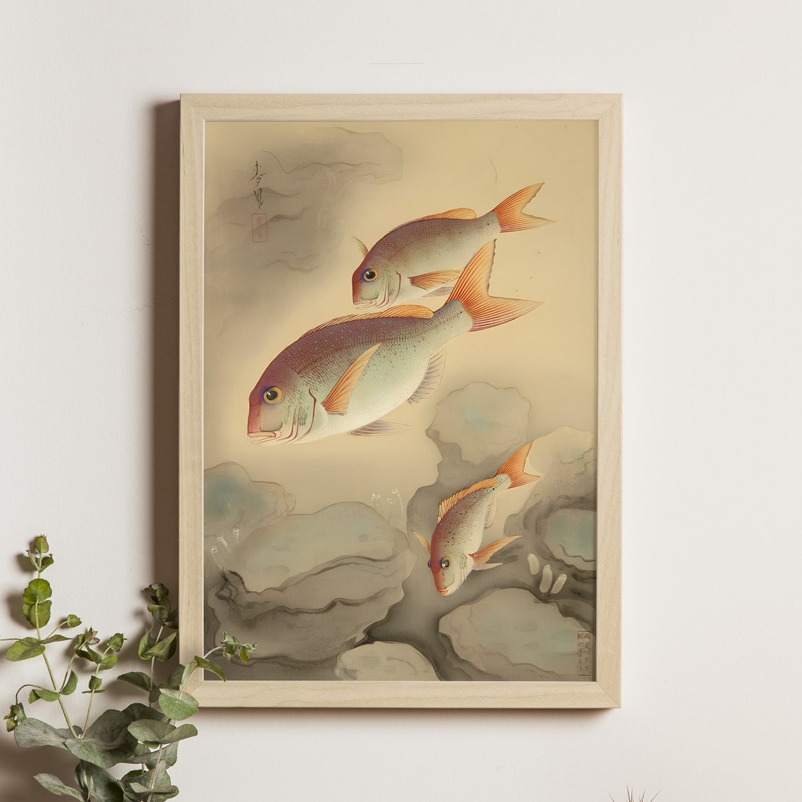 Sea Bream Kurodai by Ohno Bakufu, Vintage Ukiyo-e