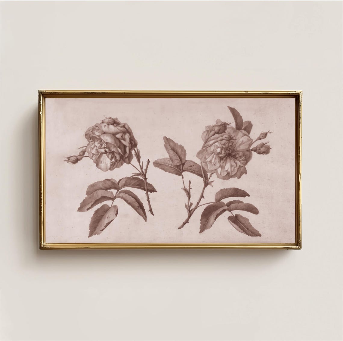 Vintage Rose Botanical Sketch Sepia Floral Study Antique Wall Art