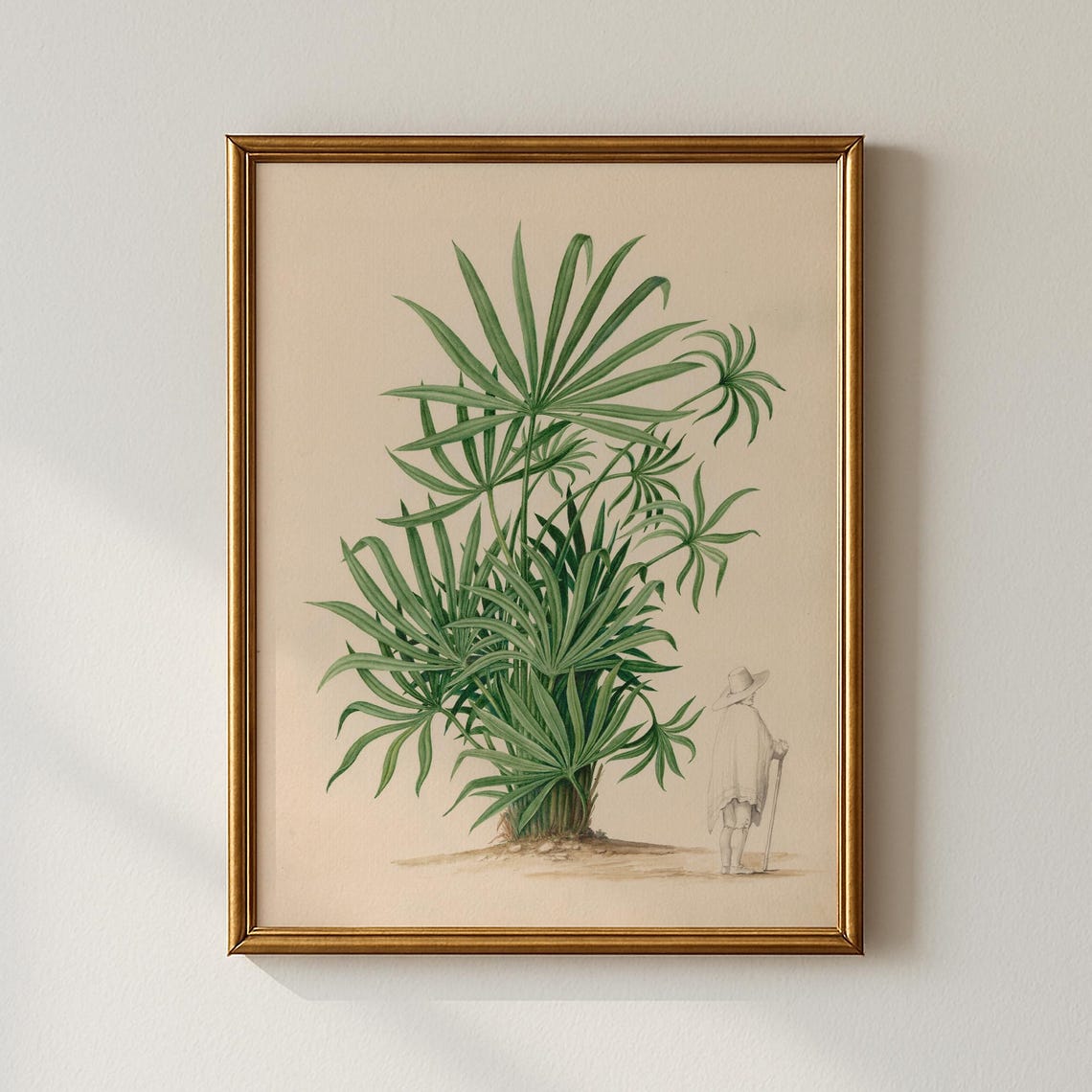 Vintage Palm Botanical Study Tropical Tree Illustration Art Poster