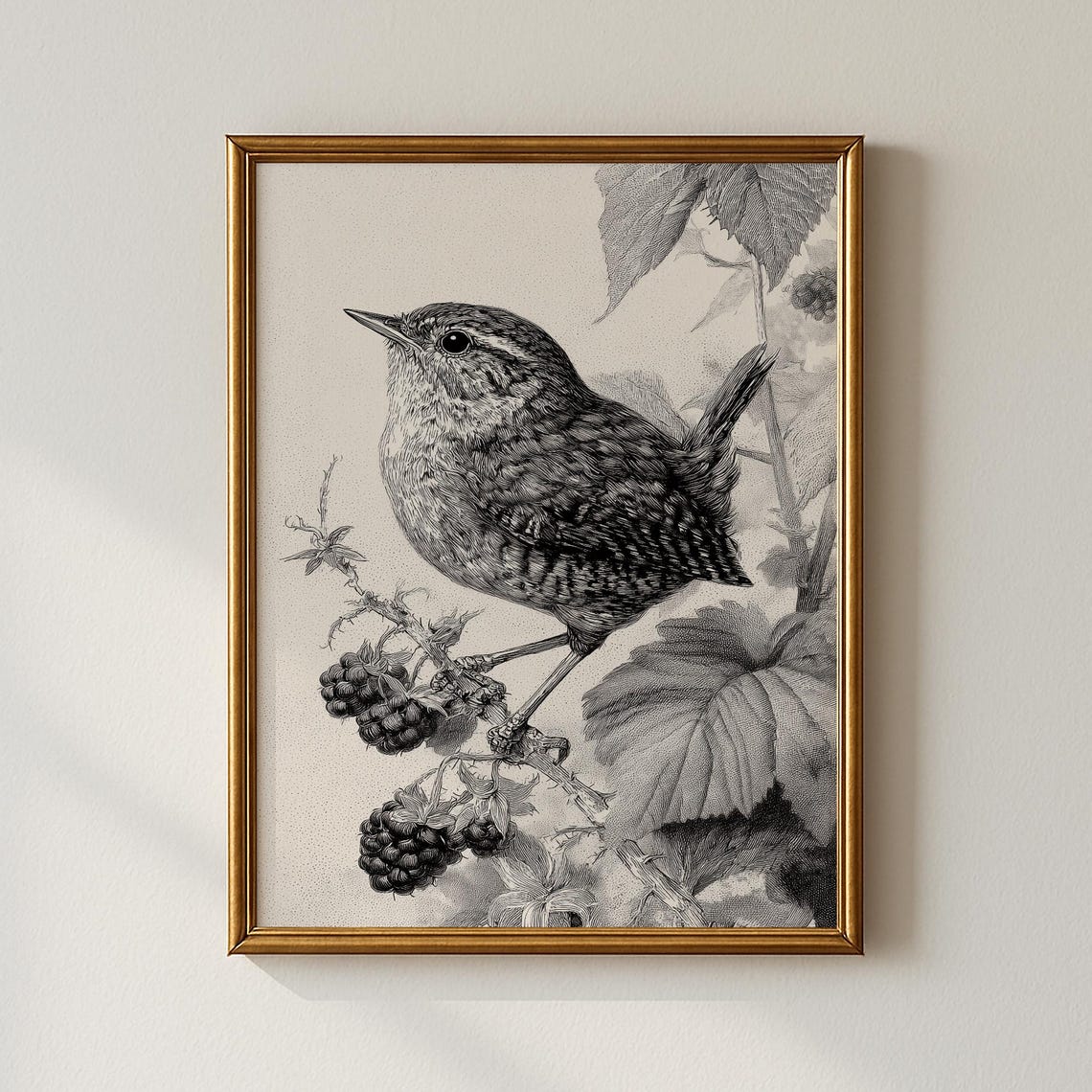 Vintage Wren Bird Print Blackberry Branch Antique Engraving Art