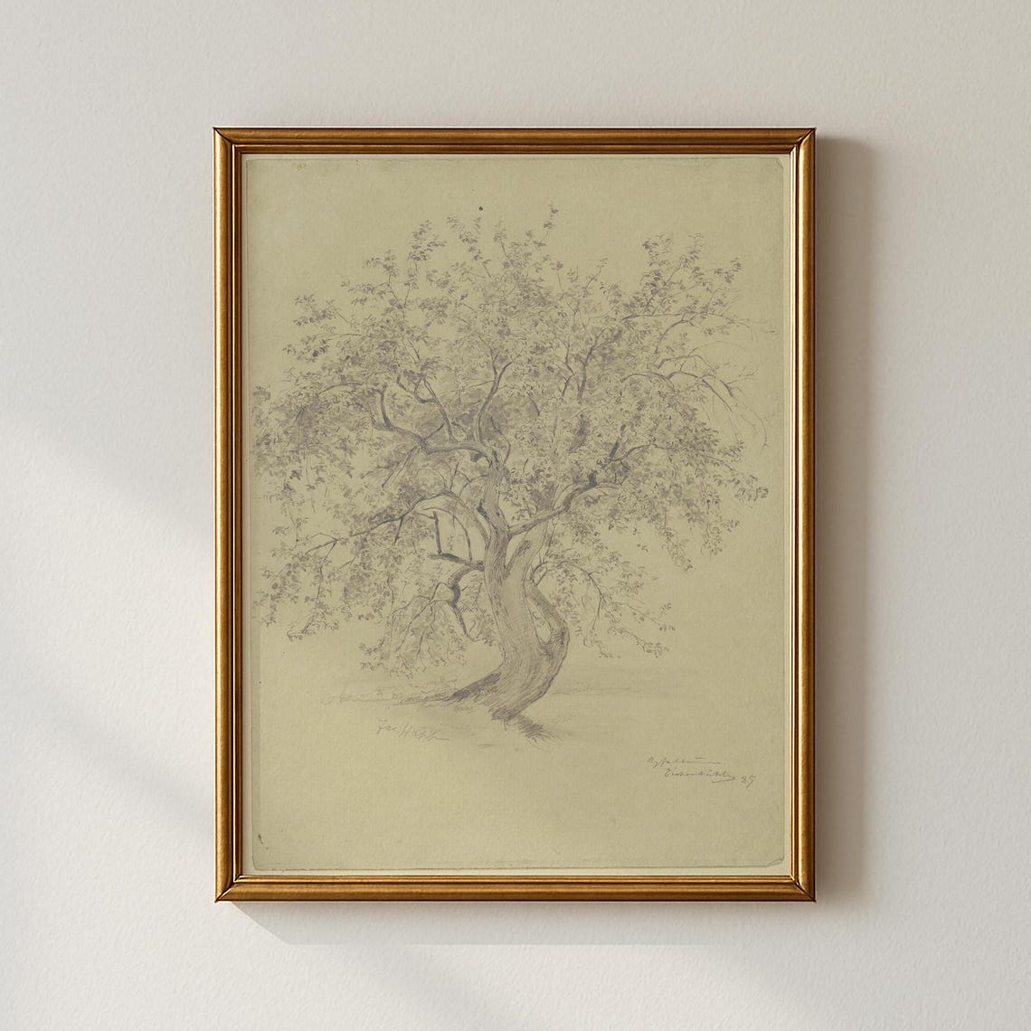 Vintage Blossoming Tree Print Bedroom Wall Art Collected Prints Cpp313