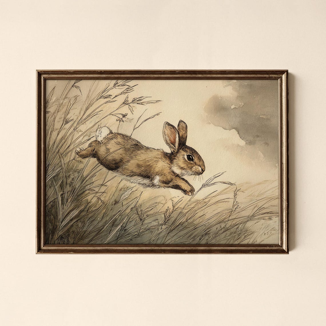 Vintage Rabbit Print Animal Wall Art Gallery Collected Prints Cpl641