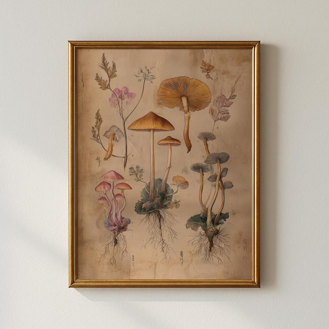 Vintage Mushroom Botanical Illustration Scientific Fungi Study Poster