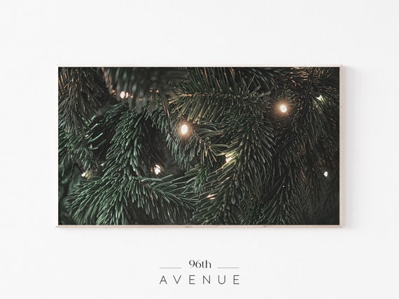 Pine Tree Branches Christmas Art Print