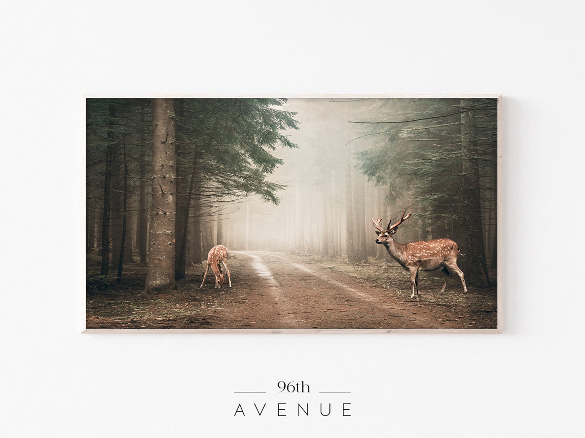 Two Spotted Deer in a Misty Pine Forest Road Wildlife Poster