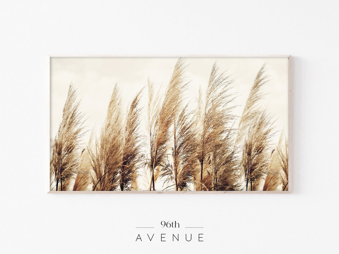 Pampas Grass Art for TV