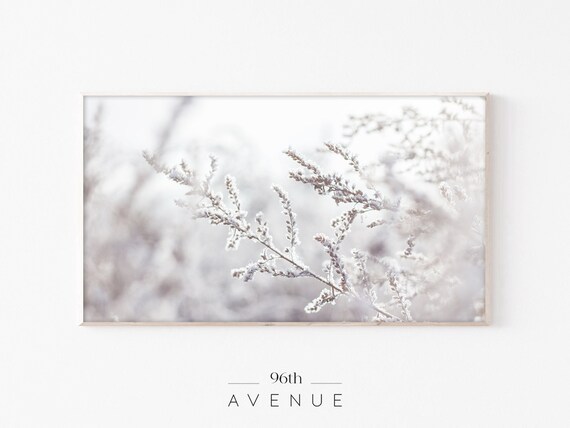 Frozen Grass Winter TV Art