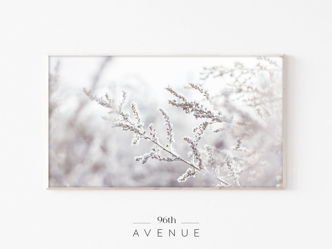 Frozen Grass Winter TV Art