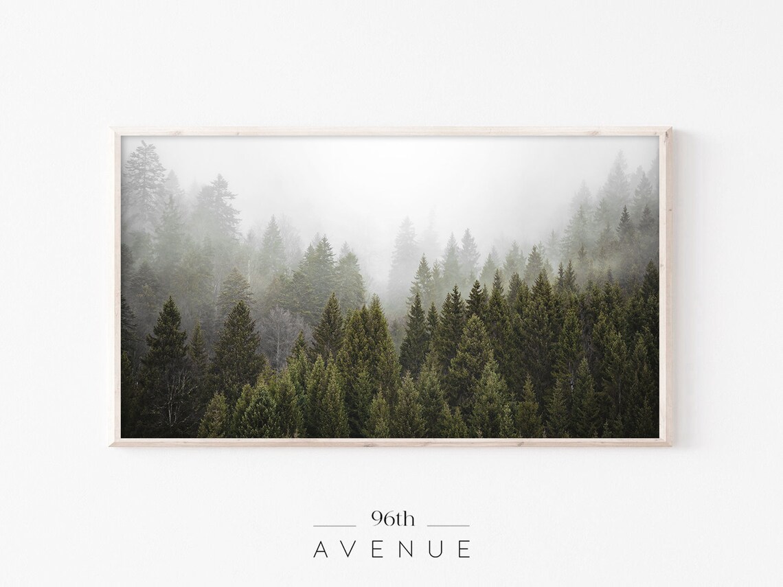 Moody Foggy Forest Landscape TV Art Print