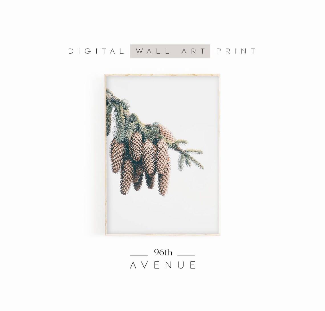 Pine Cone Branch Winter Farmhouse Art Print