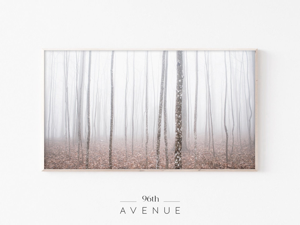 Foggy Forest Bare Trees Moody Misty Woodland Winter Calm Poster